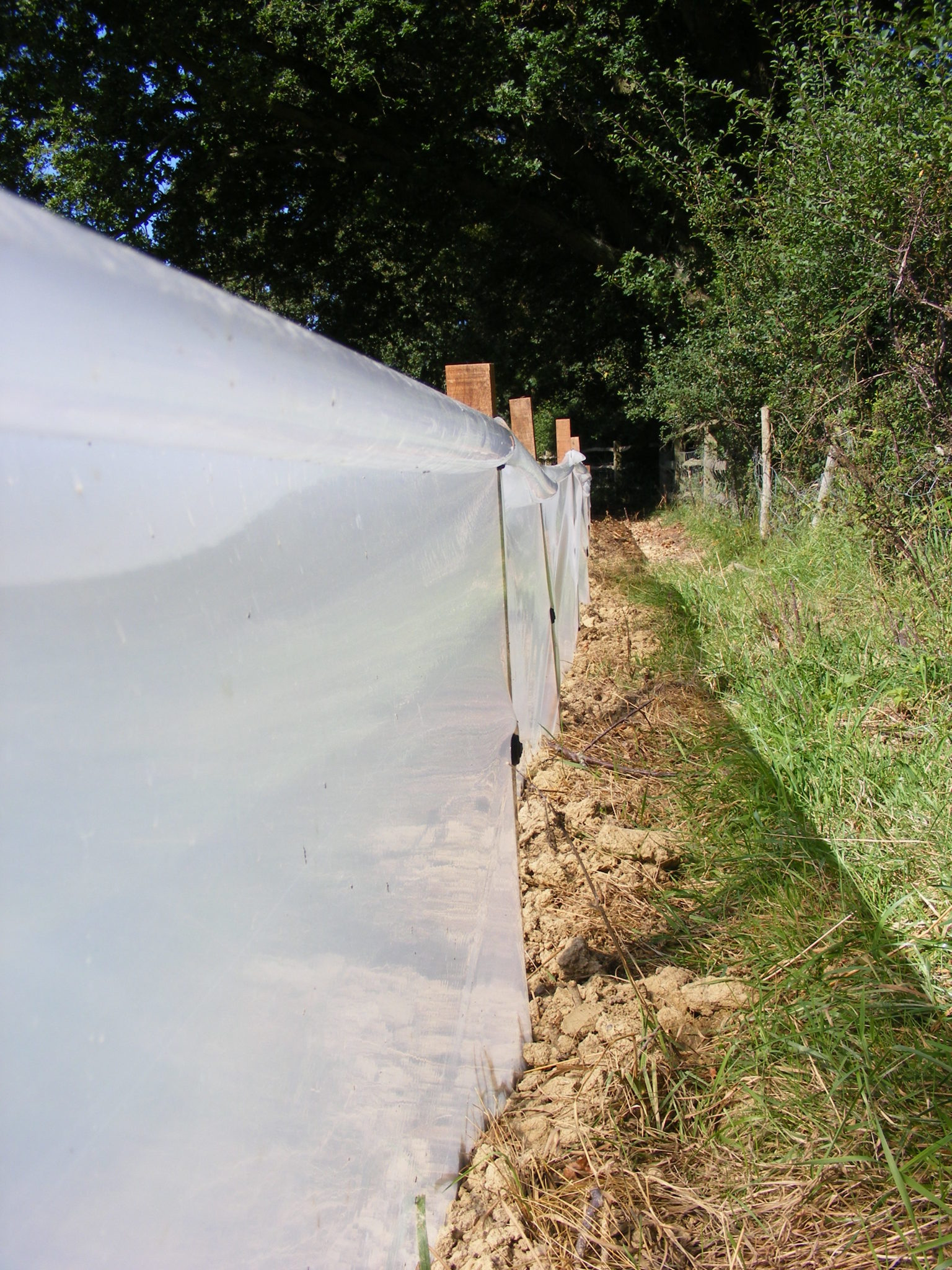 Image of a reptile fence - www.derekfinnie.com
